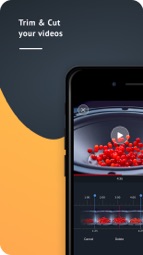 PauseCam Video Recorder Captura de tela 2