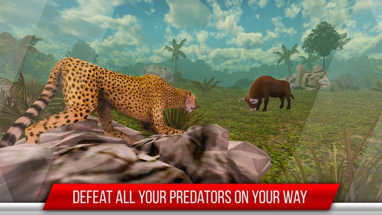 Bull vs Bull Fight: Knock Down