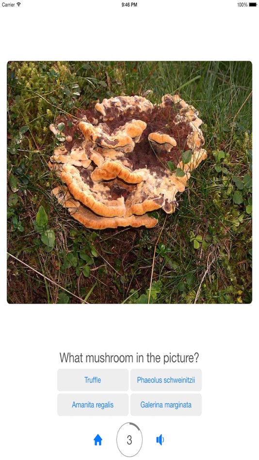 #2. Guess Mushroom (iOS) Podle: 40 BYTE YAZILIM BILISIM REKLAM E-TICARET LIMITED SIRKETI