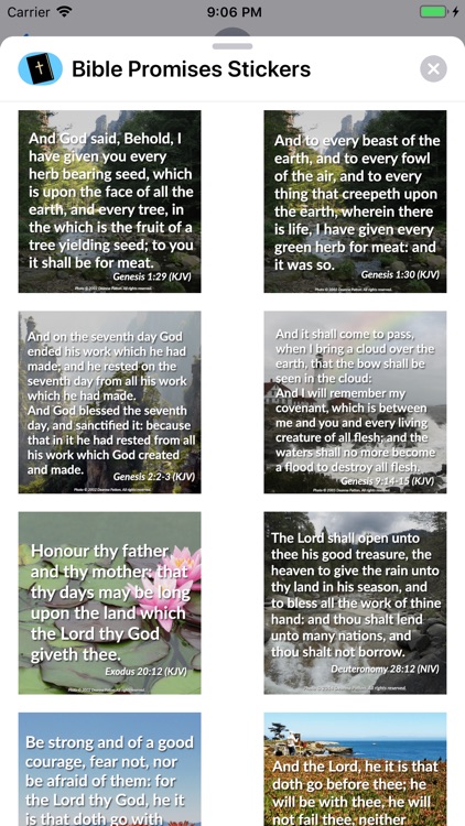Bible Promises Stickers