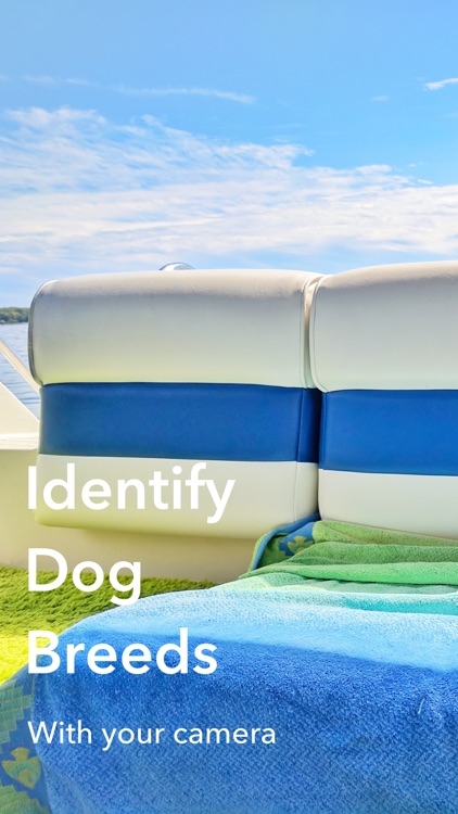 DogDNA