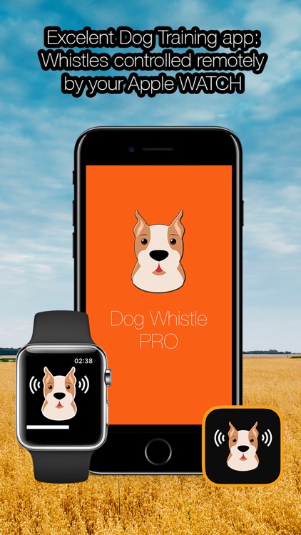 Dog Whistle PRO - Training and Pet Education