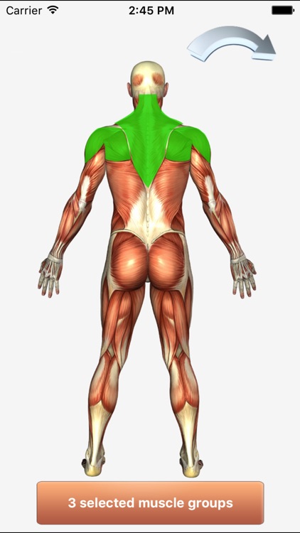 101+ Fitness Exercises