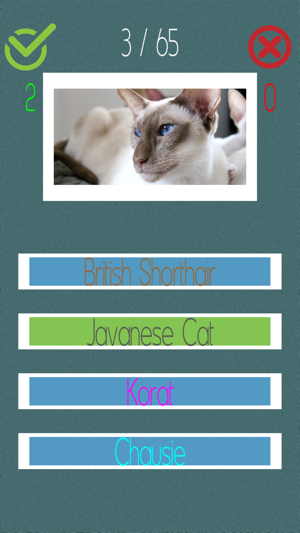 Cat Quiz (60+ Breeds)(圖2)-速報App