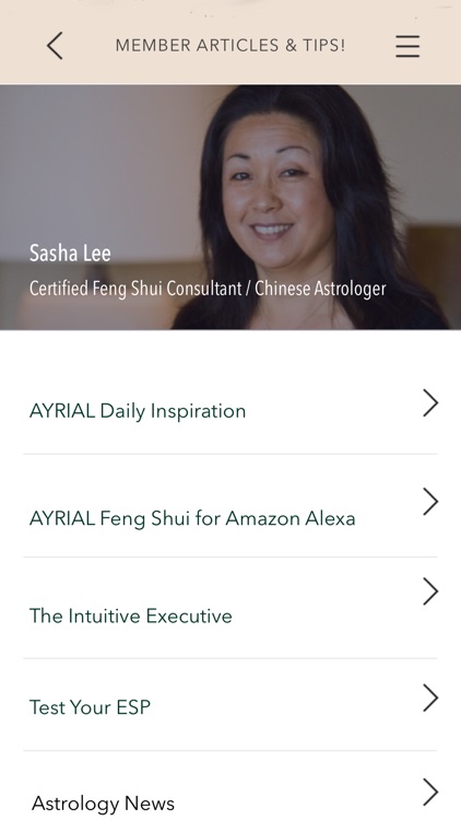 Ayrial screenshot-3