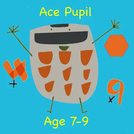 Ace Pupil 2nd & 3rd Grade Math Cheats