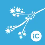 IC Brushes - ABR Importer App Cancel