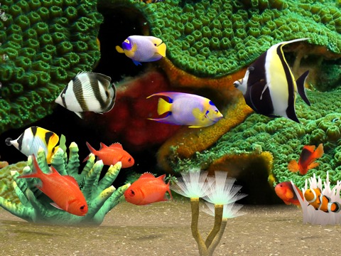 MyReef 3D Aquarium 3のおすすめ画像3