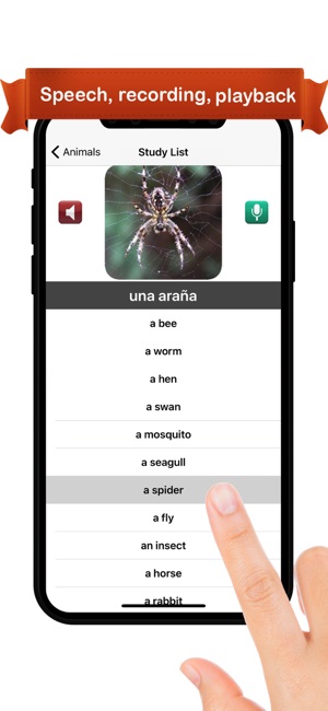Learn Spanish ™(圖2)-速報App