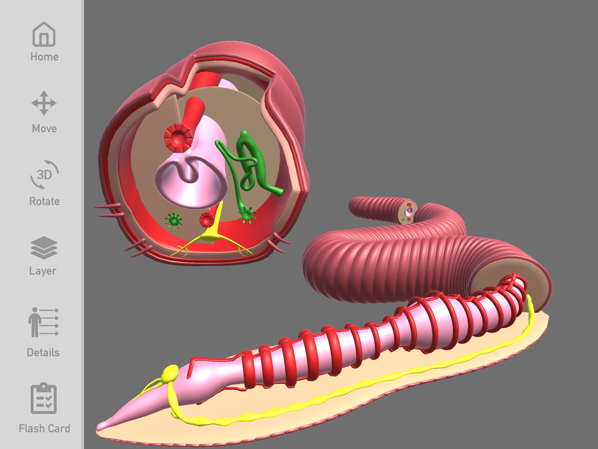 Biology3D screenshot 3