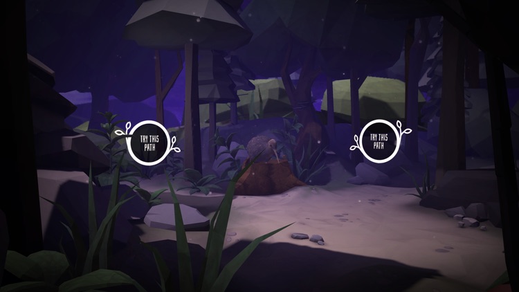 Squawk’s Journey VR