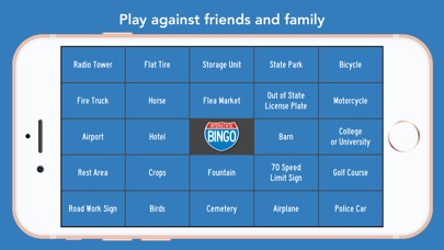 Interstate Bingo screenshot 2