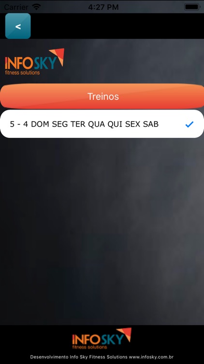 Infosky Mobile screenshot-3