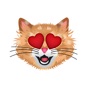 CatMoji - Cat Emoji Stickers app download