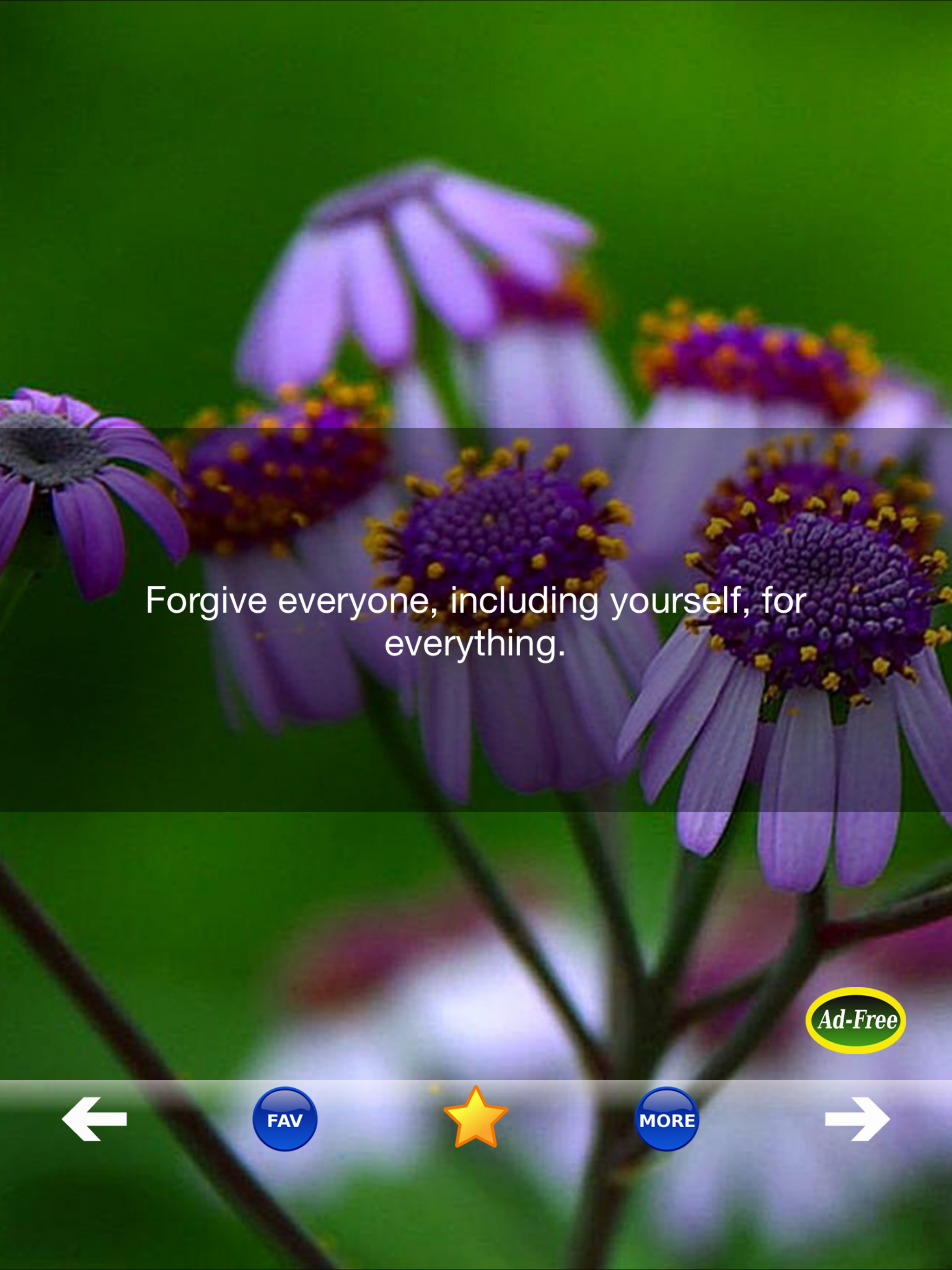 Inspirational Happiness Tips!
