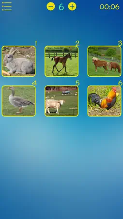 Objects order: memory game screenshot 1