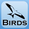 2000 Bird Species with Guides icon