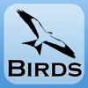 Specie di uccelli di 2000 - Sand Apps Inc.