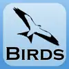 2000 Bird Species with Guides delete, cancel