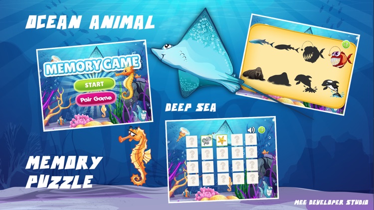 Ocean Animal Puzzle Flash Card