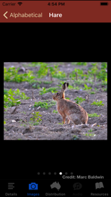 Field Guide to Pest Animals screenshot