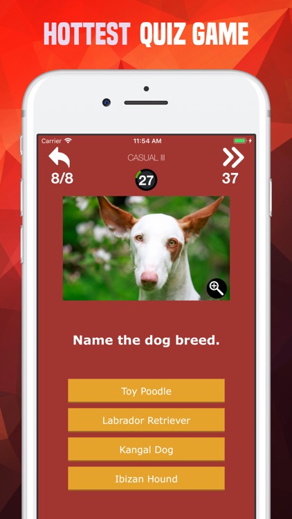 Dogs Trivia - Canis Breed Quiz screenshot-6