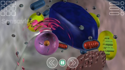 Sensavis Biology screenshot 2