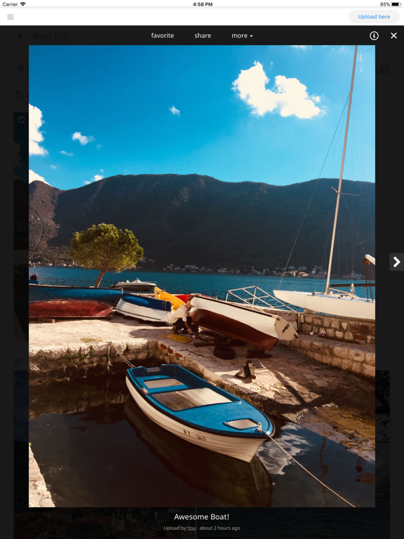 Screenshot #6 pour Yogile - Easy Photo Storage