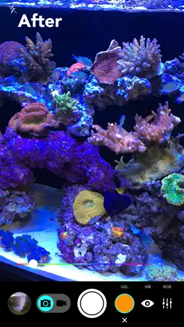 Game screenshot Aquarium Camera apk