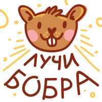 Всем бобра