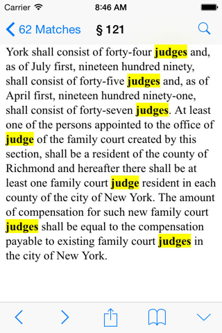New York Family Court Code screenshot 4
