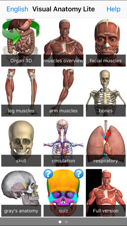 Visual Anatomy Lite