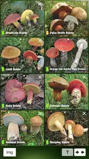 mushroom guide british isles iphone screenshot 4