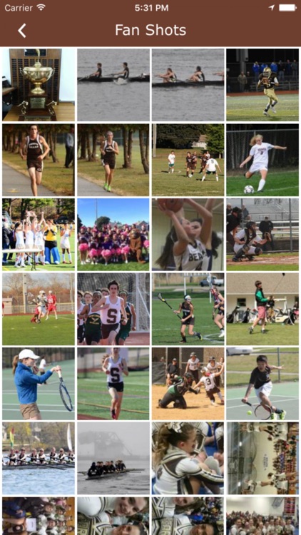 Stonington Bears Athletics