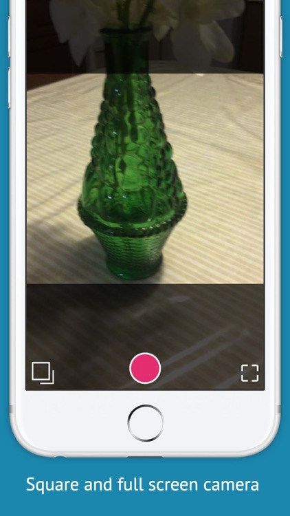 Jellycam - wobble any photo