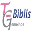 TG Biblis Handball