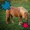 Animated Horse Puzzle For Kids and Babies: Pony Lovers Will Love This Free Educational Kids& Teen Game