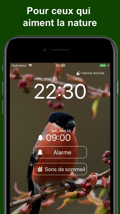 Screenshot #1 pour Bird Alarm Clock & Sleep Sound