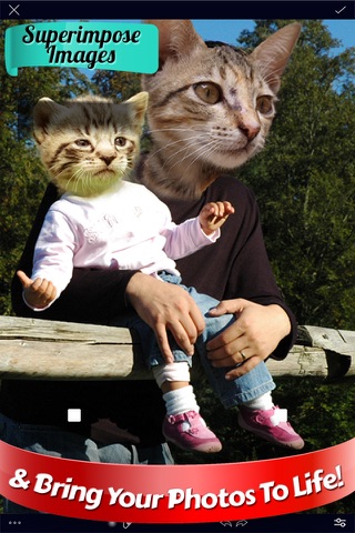 Overlay Cut Out Photo Editor - náhled
