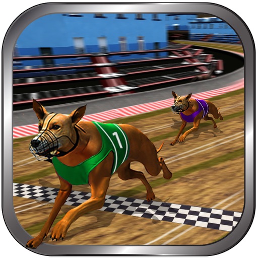 Crazy Real Dog Racing by Wasiq Chaudhry