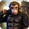 Apes Revenge - iPadアプリ