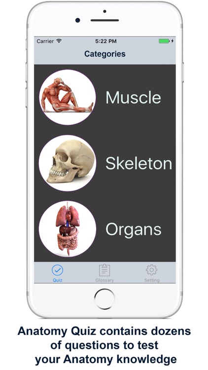 Anatomy, Physiology Quiz and Glossary for iPhone