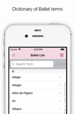 Game screenshot Ballet Index mod apk