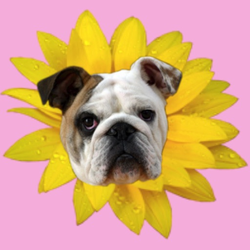 Puppy Bouquet icon