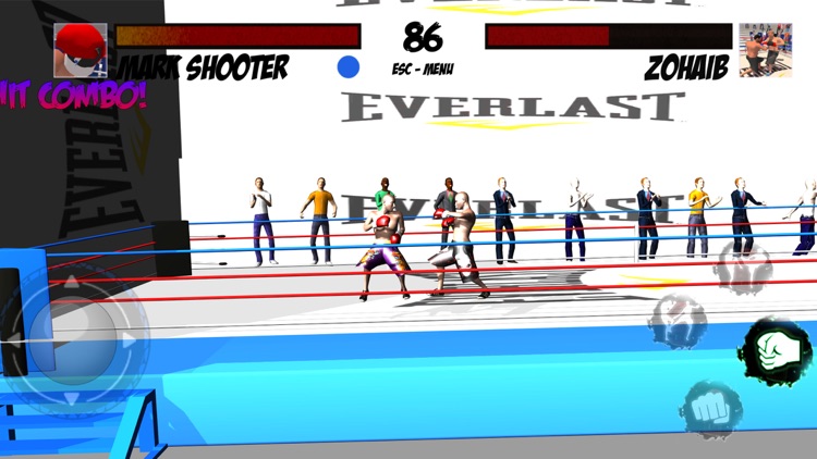 Ninja Punch Boxing Game