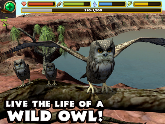 Owl Simulator на iPad