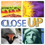 Quiz Close Up : Whats The Pics App Positive Reviews