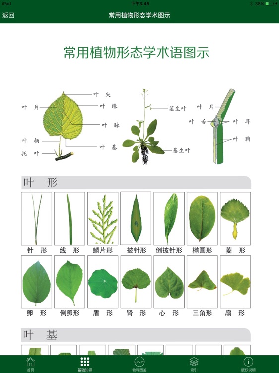 黑龙江常见野生植物图鉴