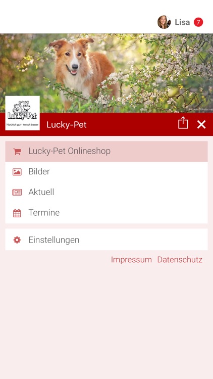 Lucky-Pet