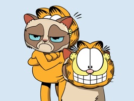 GARFIELD & GRUMPY CAT